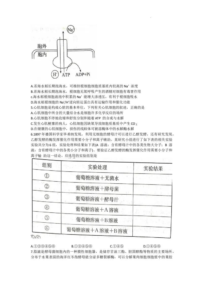 安徽省皖南八校2024届高三上学期第一次大联考生物(1)_2023年10月_0210月合集_2024届安徽省皖南八校高三上学期第一次大联考_安徽省皖南八校2024届高三上学期第一次大联考生物