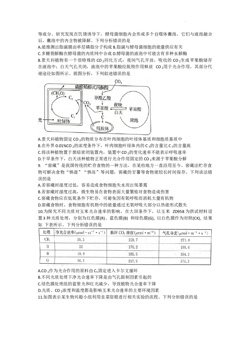 安徽省皖南八校2024届高三上学期第一次大联考生物(1)_2023年10月_0210月合集_2024届安徽省皖南八校高三上学期第一次大联考_安徽省皖南八校2024届高三上学期第一次大联考生物
