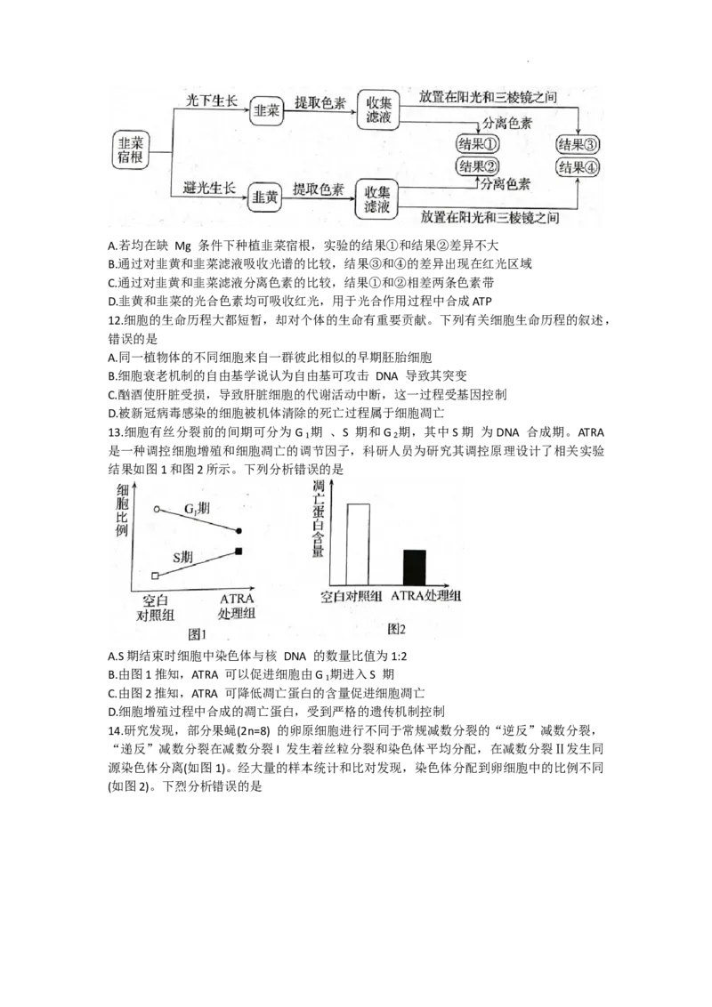 安徽省皖南八校2024届高三上学期第一次大联考生物(1)_2023年10月_0210月合集_2024届安徽省皖南八校高三上学期第一次大联考_安徽省皖南八校2024届高三上学期第一次大联考生物