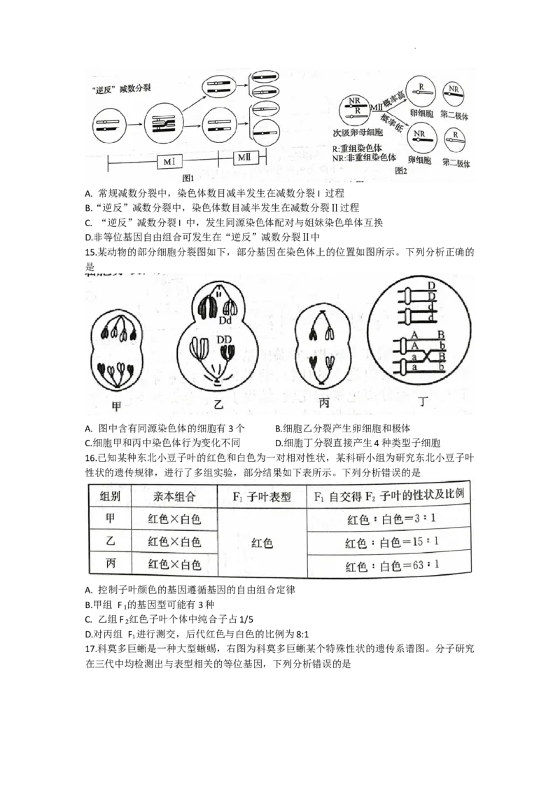 安徽省皖南八校2024届高三上学期第一次大联考生物(1)_2023年10月_0210月合集_2024届安徽省皖南八校高三上学期第一次大联考_安徽省皖南八校2024届高三上学期第一次大联考生物