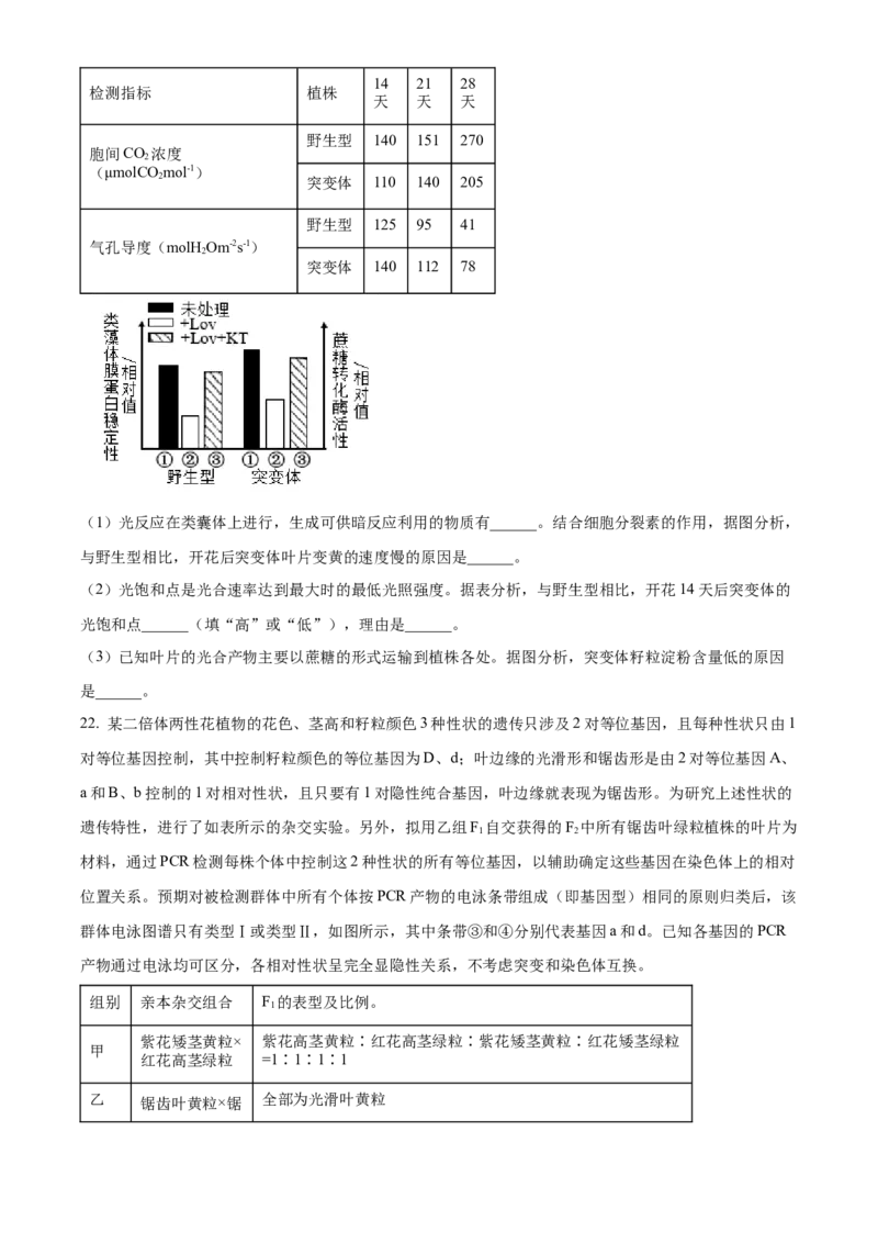 2024年新课标高考真题山东卷生物（原卷版）_高考真题全网收集_生物学_2024年新高考山东卷生物高考真题解析（参考版）