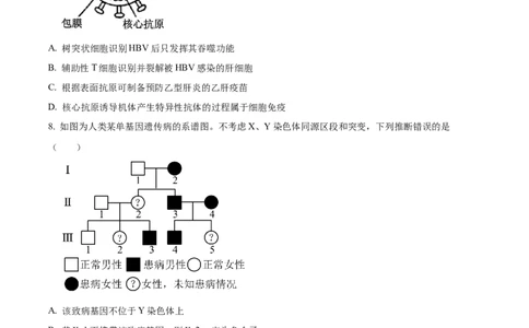 2024年新课标高考真题山东卷生物（原卷版）_高考真题全网收集_生物学_2024年新高考山东卷生物高考真题解析（参考版）