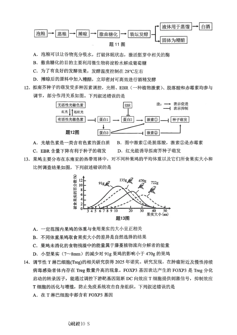 生物主城五区26届高三一诊试卷和答案(1)_2026年1月_260129重庆市主城五区高2026届学业质量调研抽测（重庆九龙坡一诊）（全科）