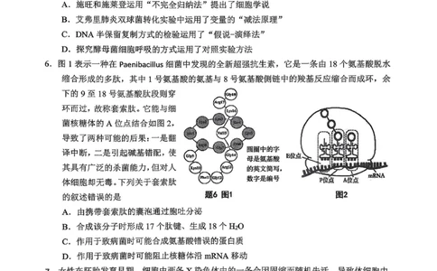 生物主城五区26届高三一诊试卷和答案(1)_2026年1月_260129重庆市主城五区高2026届学业质量调研抽测（重庆九龙坡一诊）（全科）