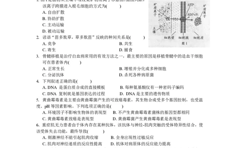 2010年高考生物试卷（广东）（空白卷）_生物历年高考真题_新&middot;PDF版2008-2025&middot;高考生物真题_生物（按试卷类型分类）2008-2025_自主命题卷&middot;生物（2008-2025）