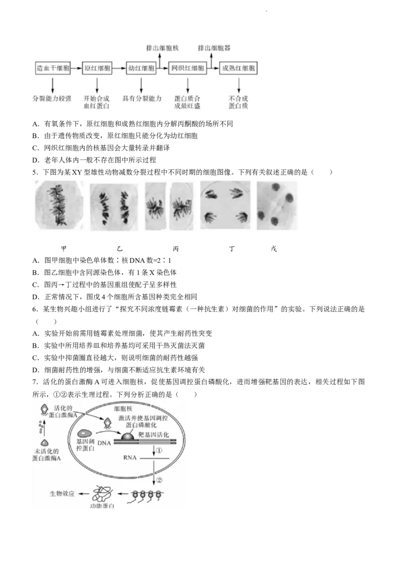 山东省金科大联考2024届高三上学期9月质量检测生物(1)_2023年9月_029月合集_2024届山东省金科大联考高三上学期9月质量检测
