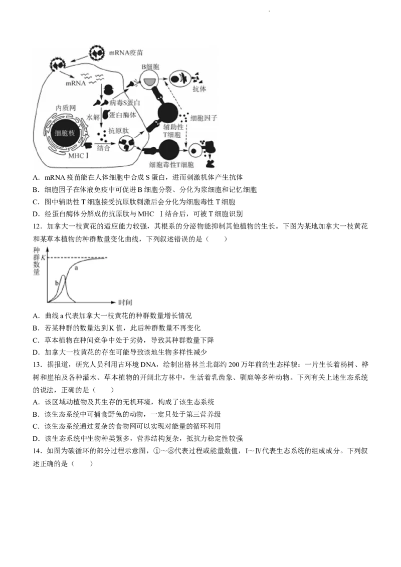 山东省金科大联考2024届高三上学期9月质量检测生物(1)_2023年9月_029月合集_2024届山东省金科大联考高三上学期9月质量检测