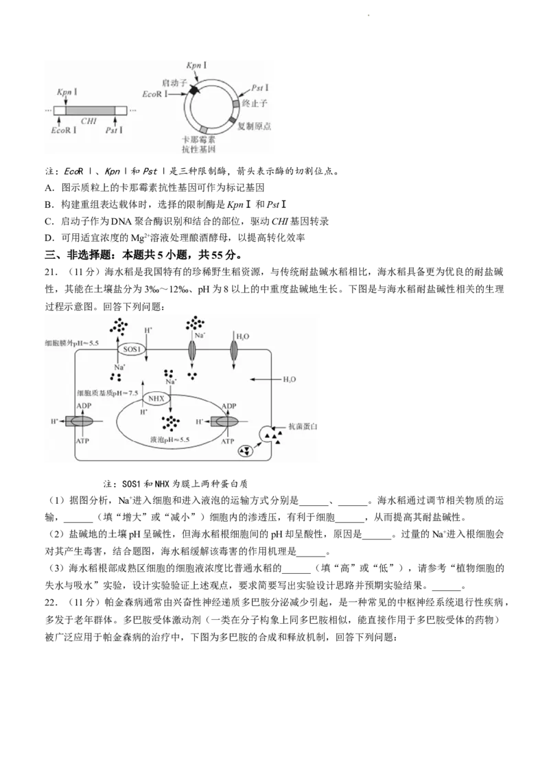 山东省金科大联考2024届高三上学期9月质量检测生物(1)_2023年9月_029月合集_2024届山东省金科大联考高三上学期9月质量检测