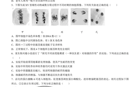 山东省金科大联考2024届高三上学期9月质量检测生物(1)_2023年9月_029月合集_2024届山东省金科大联考高三上学期9月质量检测