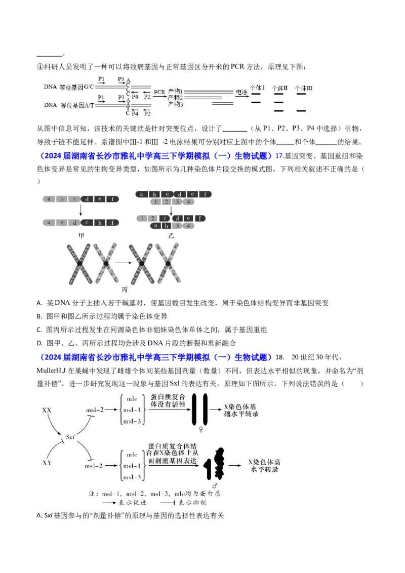 专题10变异与育种-2024年高考真题和模拟题生物分类汇编(学生卷）_近10年高考真题汇编（必刷）_十年（2014-2024）高考生物真题分项汇编（全国通用）