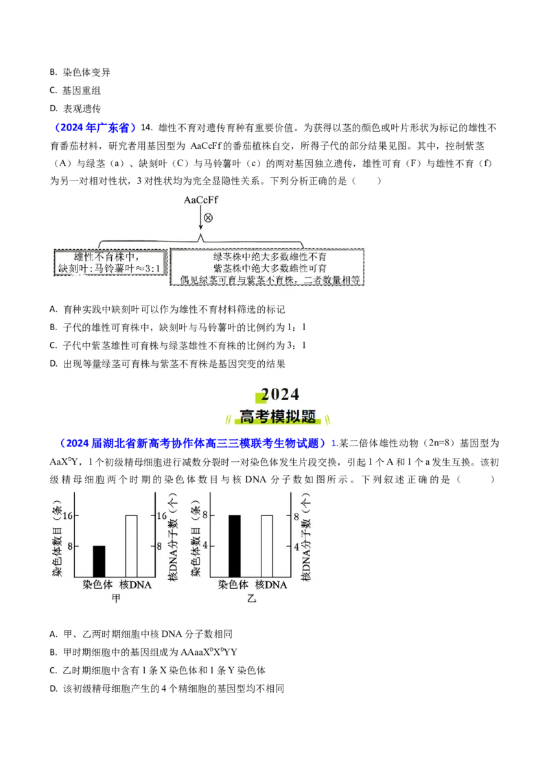 专题10变异与育种-2024年高考真题和模拟题生物分类汇编(学生卷）_近10年高考真题汇编（必刷）_十年（2014-2024）高考生物真题分项汇编（全国通用）