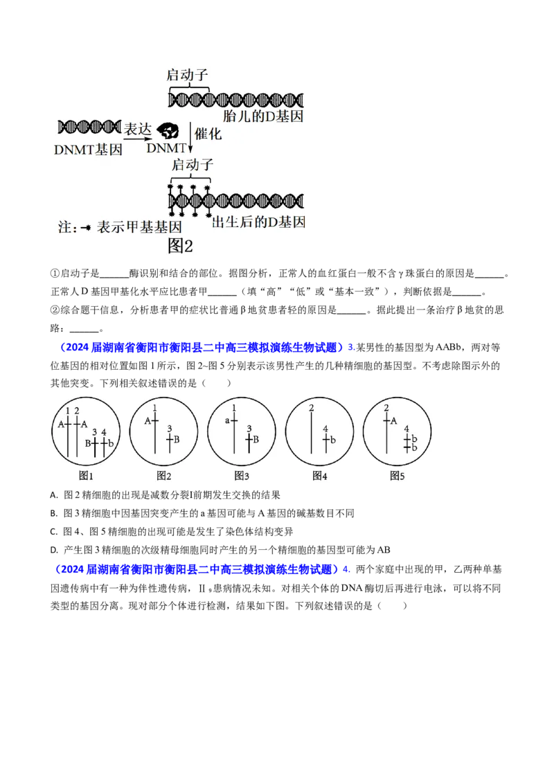 专题10变异与育种-2024年高考真题和模拟题生物分类汇编(学生卷）_近10年高考真题汇编（必刷）_十年（2014-2024）高考生物真题分项汇编（全国通用）