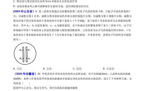 专题10变异与育种-2024年高考真题和模拟题生物分类汇编(学生卷）_近10年高考真题汇编（必刷）_十年（2014-2024）高考生物真题分项汇编（全国通用）
