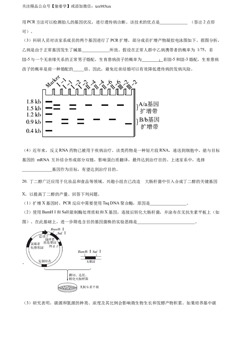 精品解析：2024年新课标高考真题安徽卷生物试卷（原卷版）_高考真题全网收集_生物学_精品解析：2024年新高考安徽卷生物高考真题解析（参考版）