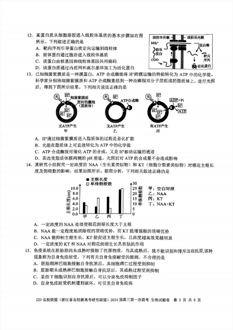 2024届Z20名校联盟（浙江省名校新高考研究联盟）高三第一次联考生物(1)_2023年8月_028月合集_2024届浙江省名校新高考研究联盟（Z20名校联盟）高三第一次联考