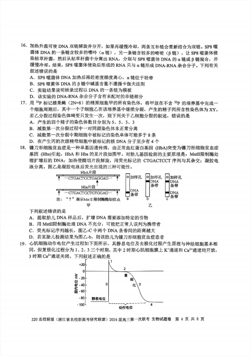 2024届Z20名校联盟（浙江省名校新高考研究联盟）高三第一次联考生物(1)_2023年8月_028月合集_2024届浙江省名校新高考研究联盟（Z20名校联盟）高三第一次联考