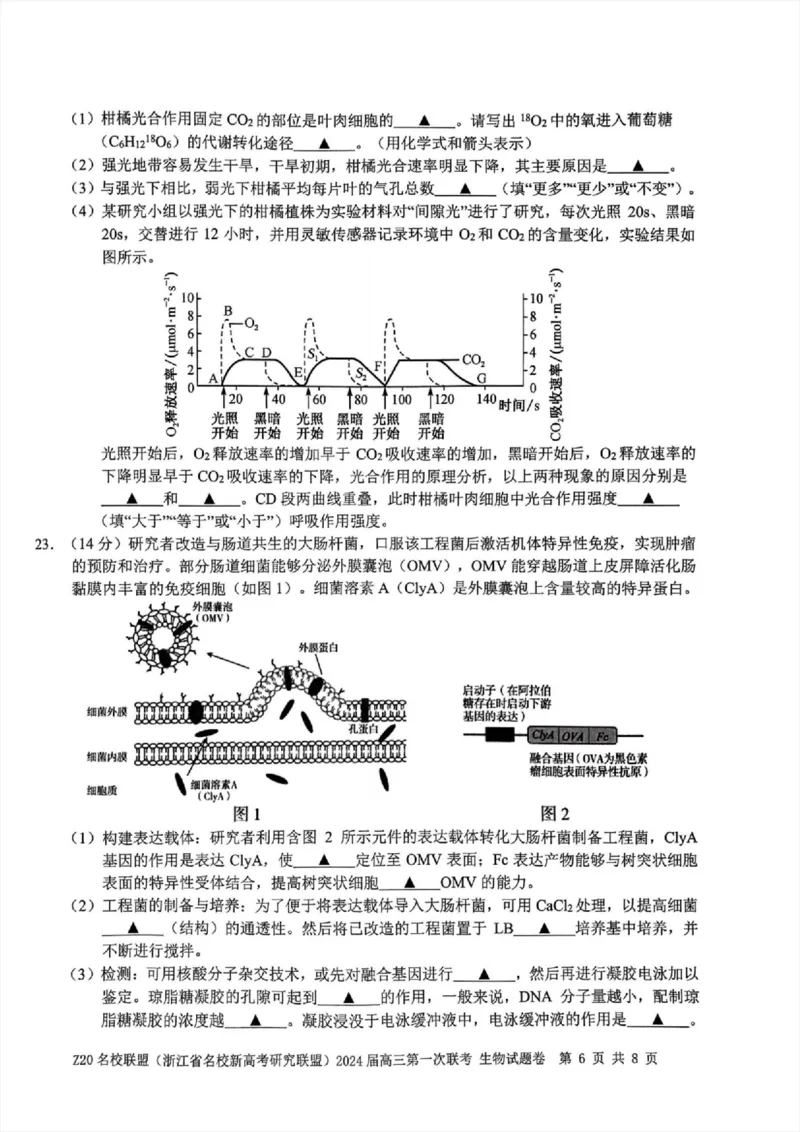 2024届Z20名校联盟（浙江省名校新高考研究联盟）高三第一次联考生物(1)_2023年8月_028月合集_2024届浙江省名校新高考研究联盟（Z20名校联盟）高三第一次联考