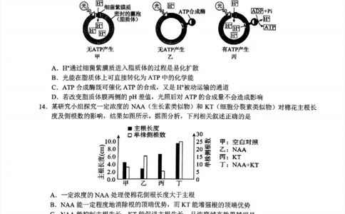 2024届Z20名校联盟（浙江省名校新高考研究联盟）高三第一次联考生物(1)_2023年8月_028月合集_2024届浙江省名校新高考研究联盟（Z20名校联盟）高三第一次联考