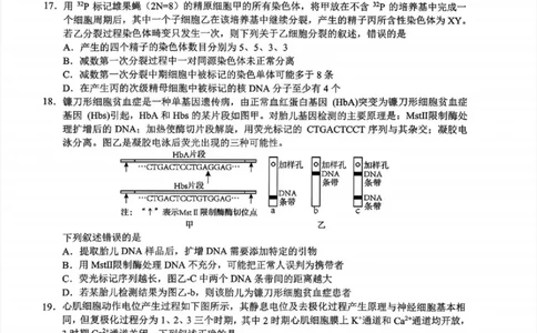 2024届Z20名校联盟（浙江省名校新高考研究联盟）高三第一次联考生物(1)_2023年8月_028月合集_2024届浙江省名校新高考研究联盟（Z20名校联盟）高三第一次联考