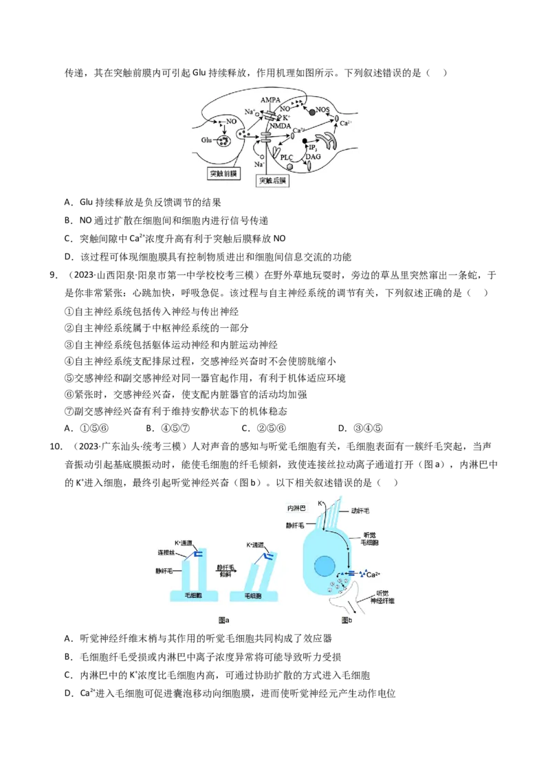 专题12神经调节（学生卷）_近10年高考真题汇编（必刷）_十年（2014-2024）高考生物真题分项汇编（全国通用）_2023年高考真题和模拟题生物分项汇编（全国通用）