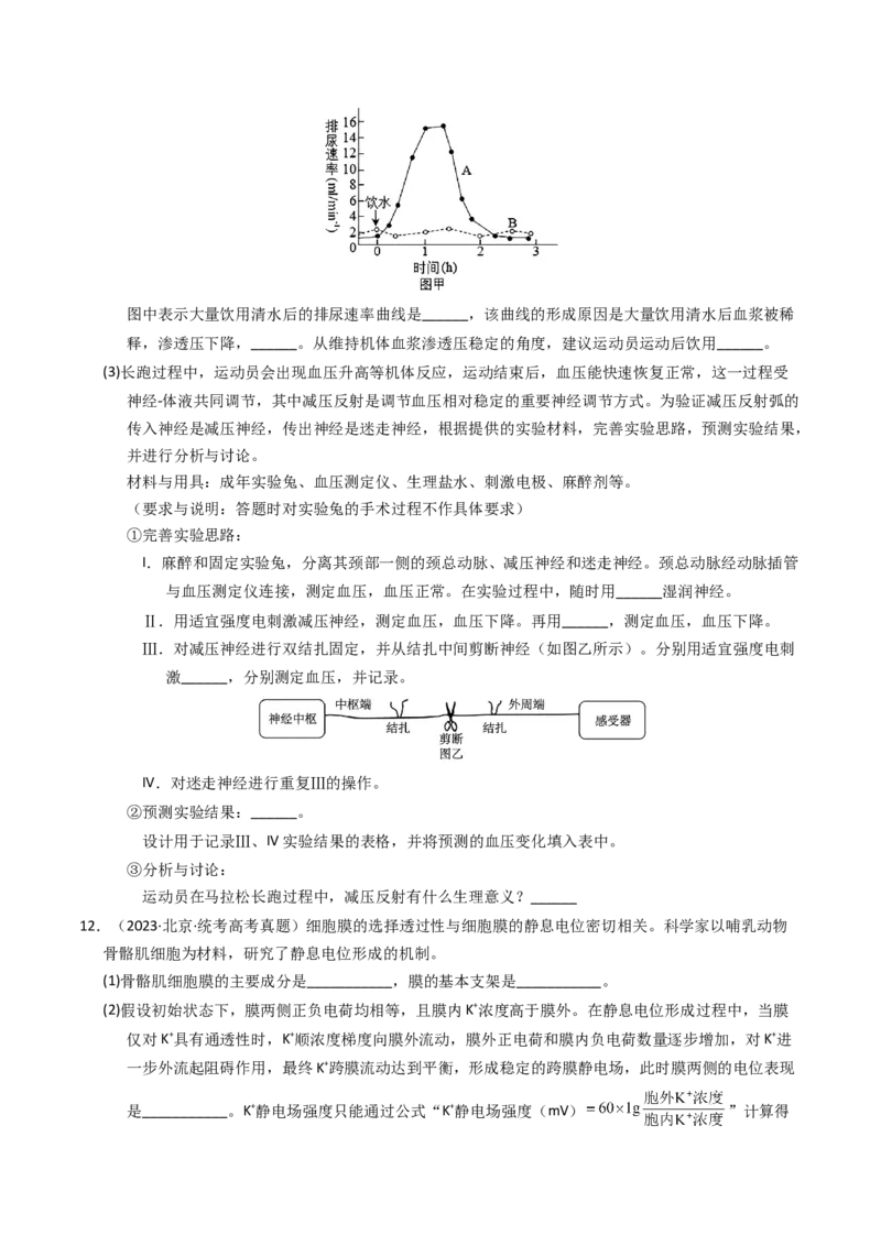 专题12神经调节（学生卷）_近10年高考真题汇编（必刷）_十年（2014-2024）高考生物真题分项汇编（全国通用）_2023年高考真题和模拟题生物分项汇编（全国通用）