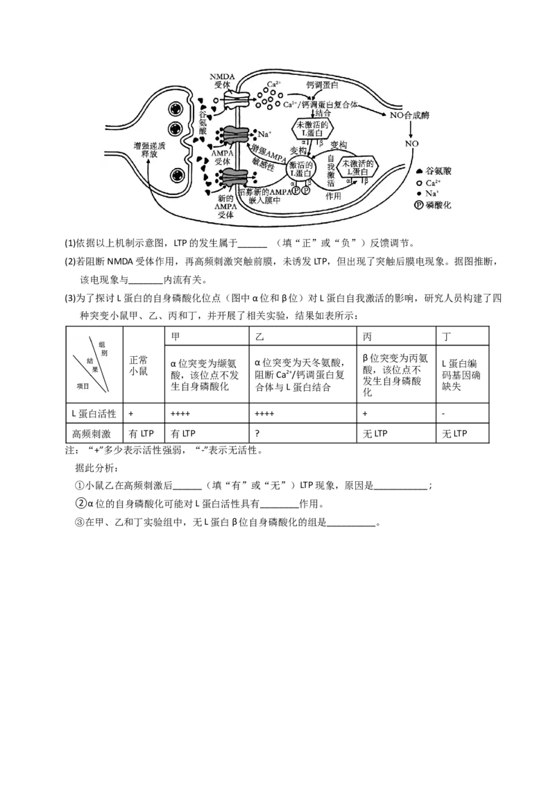专题12神经调节（学生卷）_近10年高考真题汇编（必刷）_十年（2014-2024）高考生物真题分项汇编（全国通用）_2023年高考真题和模拟题生物分项汇编（全国通用）