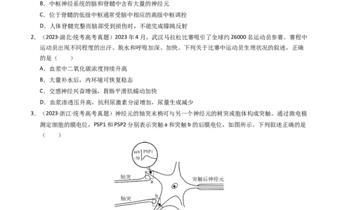 专题12神经调节（学生卷）_近10年高考真题汇编（必刷）_十年（2014-2024）高考生物真题分项汇编（全国通用）_2023年高考真题和模拟题生物分项汇编（全国通用）