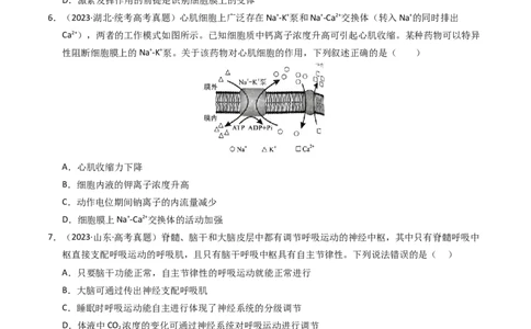 专题12神经调节（学生卷）_近10年高考真题汇编（必刷）_十年（2014-2024）高考生物真题分项汇编（全国通用）_2023年高考真题和模拟题生物分项汇编（全国通用）