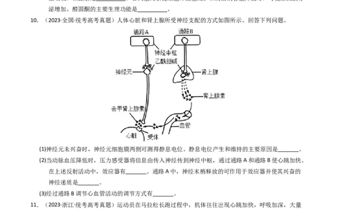 专题12神经调节（学生卷）_近10年高考真题汇编（必刷）_十年（2014-2024）高考生物真题分项汇编（全国通用）_2023年高考真题和模拟题生物分项汇编（全国通用）