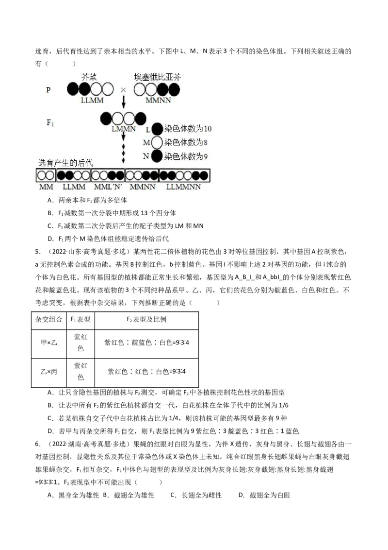 专题12基因的自由组合定律（原卷卷）_近10年高考真题汇编（必刷）_十年（2014-2024）高考生物真题分项汇编（全国通用）_十年（2014-2023）高考生物真题分项汇编（全国通用）