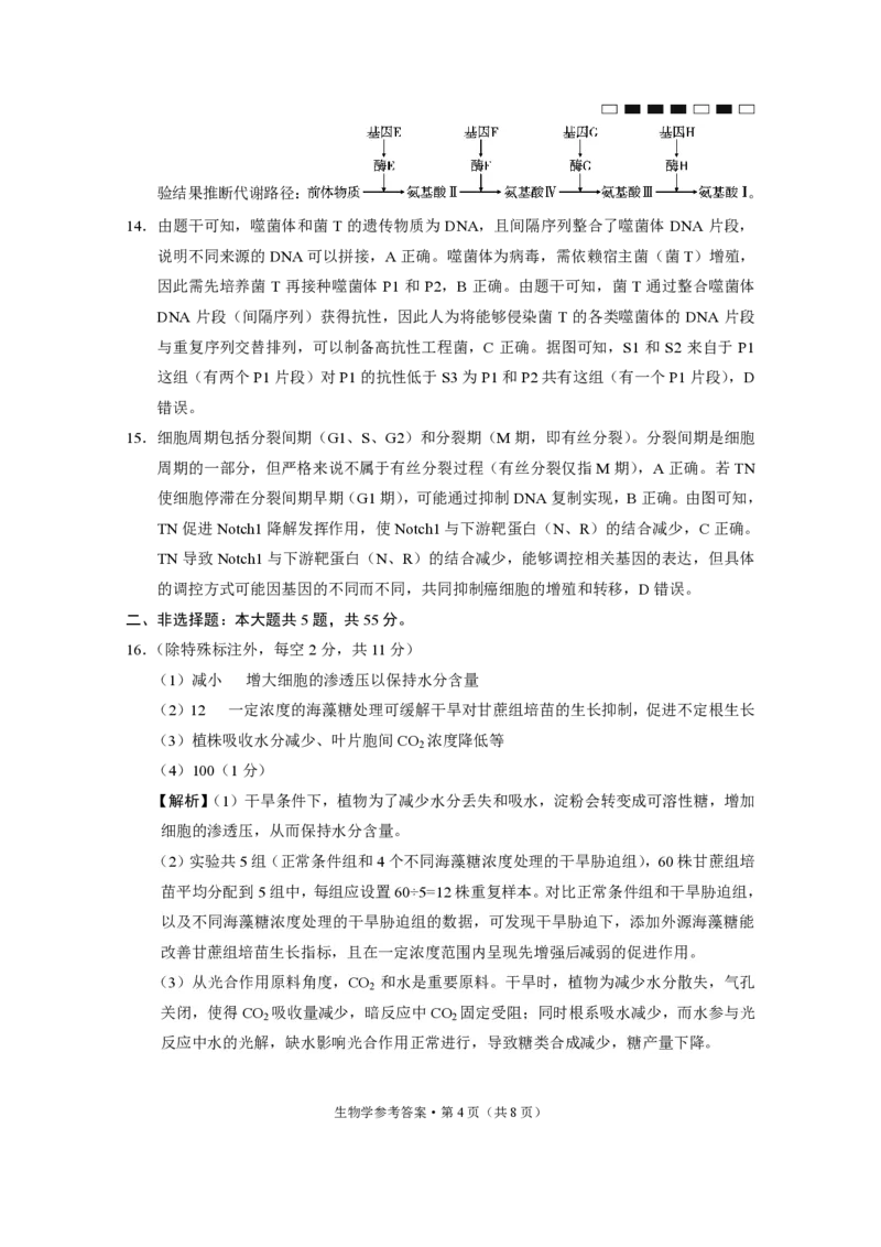 重庆市巴蜀中学2025届高考适应性月考卷（八）生物答案_2025年5月_250504重庆市巴蜀中学2025届高考适应性月考卷（八）（全科）