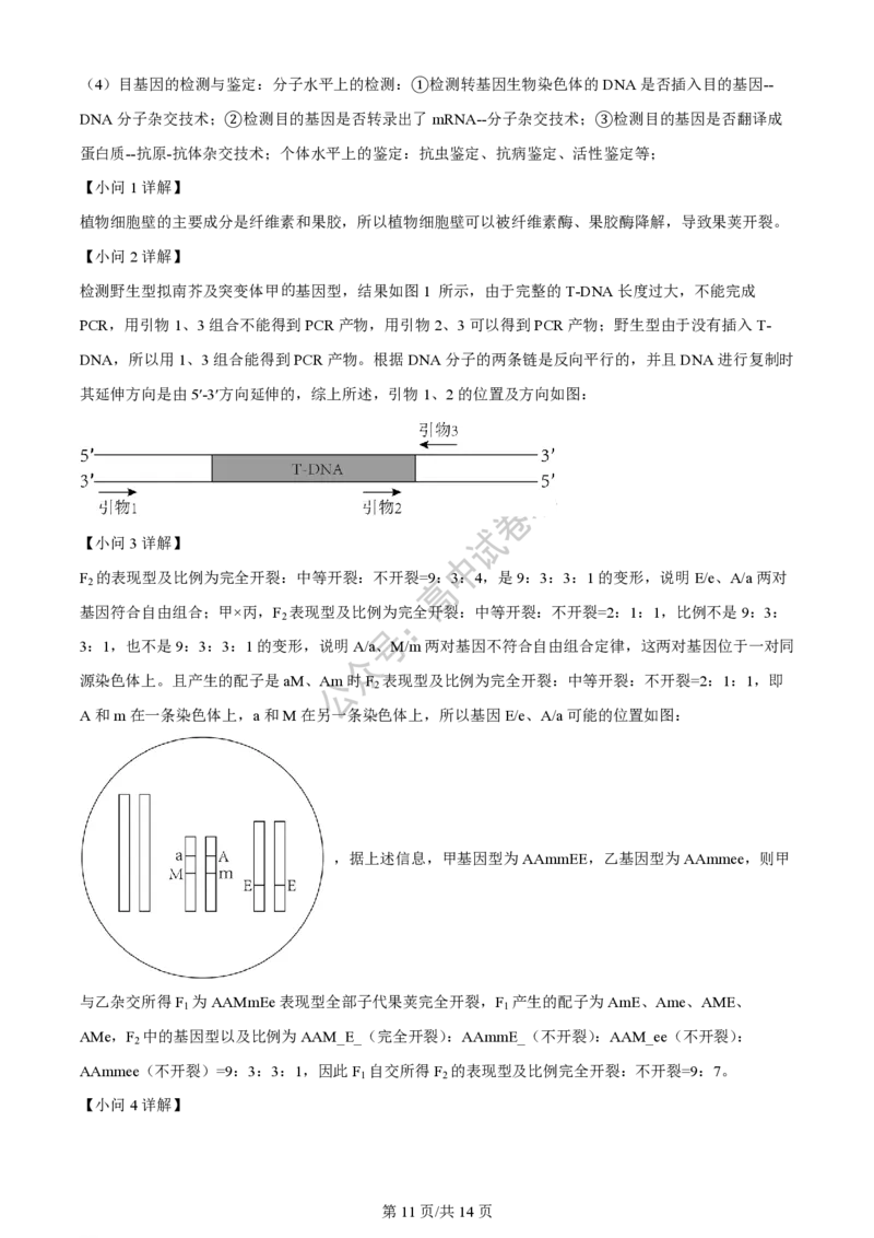 上海市上海交通大学附属中学2023-2024学年高三上学期摸底考试生物试题（解析版）(1)_2023年9月_029月合集_2024届上海市上海交通大学附属中学高三上学期摸底考试