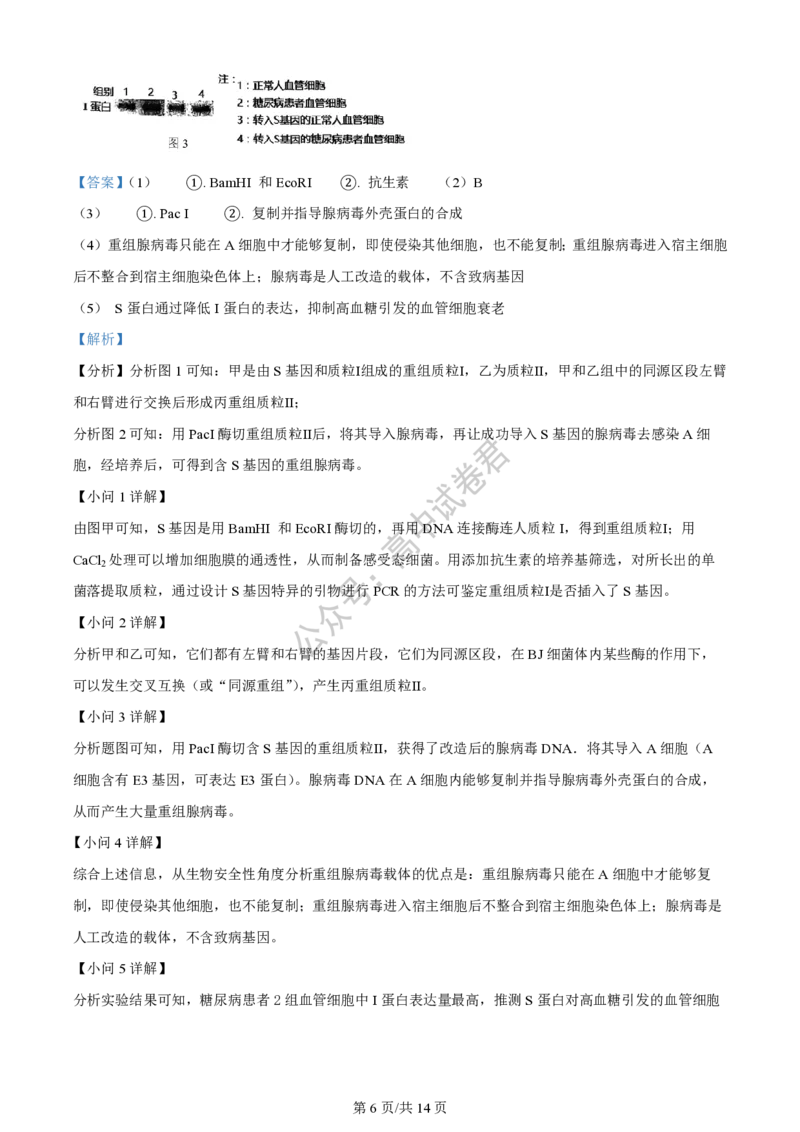 上海市上海交通大学附属中学2023-2024学年高三上学期摸底考试生物试题（解析版）(1)_2023年9月_029月合集_2024届上海市上海交通大学附属中学高三上学期摸底考试