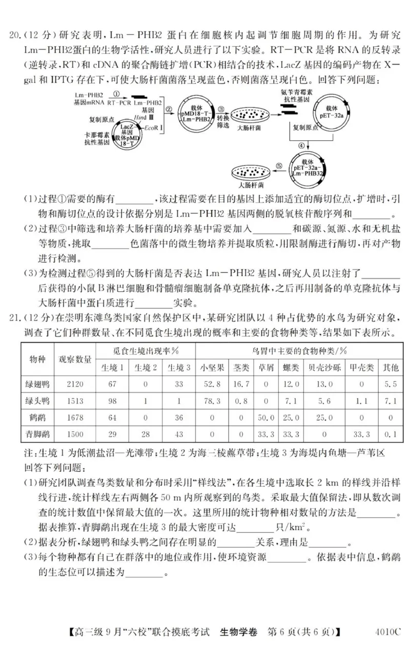 广东六校高三上(9月联考)-生物试题+答案(1)_2023年9月_029月合集_2024届广东省六校（清中、河中、北中、惠中、阳中、茂中）高三9月联考