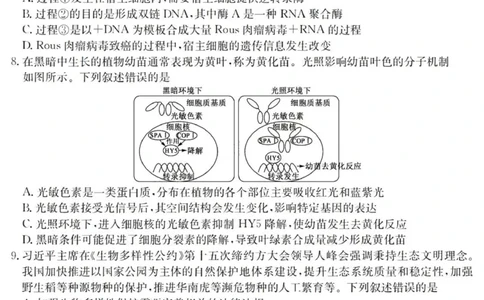广东六校高三上(9月联考)-生物试题+答案(1)_2023年9月_029月合集_2024届广东省六校（清中、河中、北中、惠中、阳中、茂中）高三9月联考