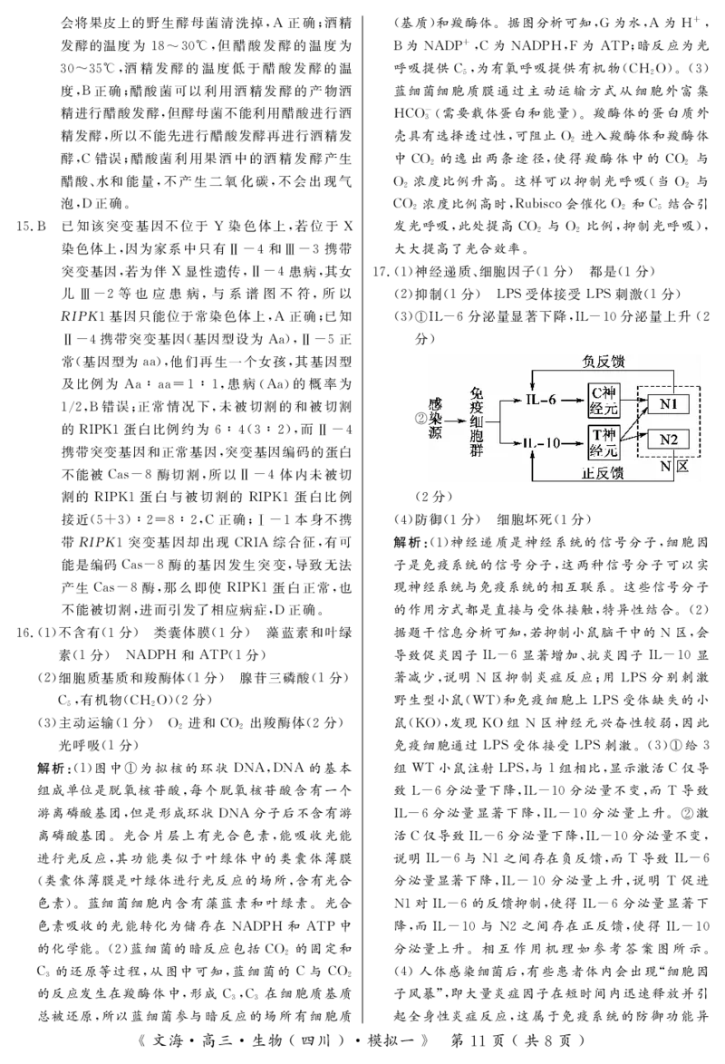 四川省黄冈八模2026届高三模拟测试卷（一）生物+答案(1)_2026年1月_260127四川省黄冈八模2026届高三模拟测试卷（一）（全科)