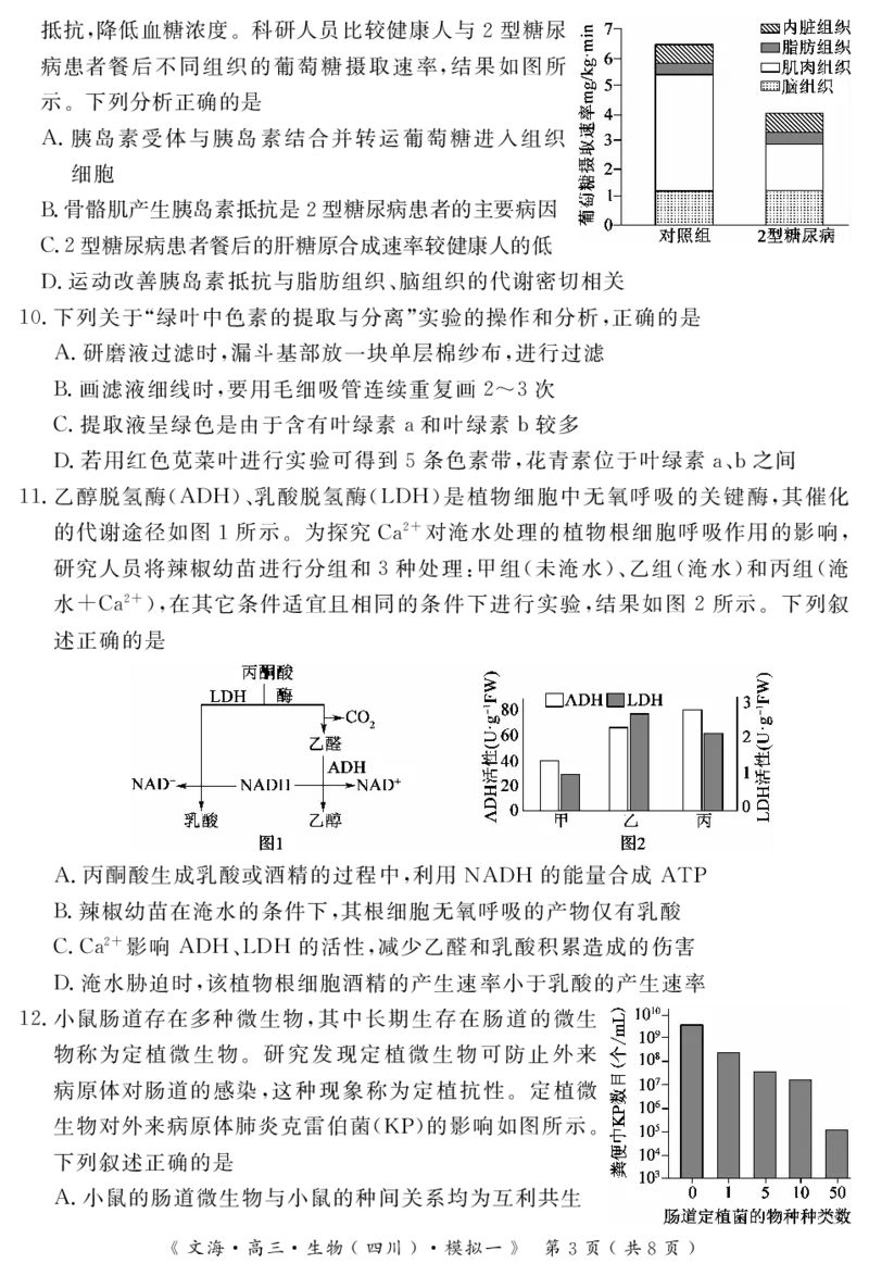四川省黄冈八模2026届高三模拟测试卷（一）生物+答案(1)_2026年1月_260127四川省黄冈八模2026届高三模拟测试卷（一）（全科)