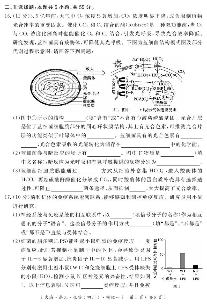 四川省黄冈八模2026届高三模拟测试卷（一）生物+答案(1)_2026年1月_260127四川省黄冈八模2026届高三模拟测试卷（一）（全科)