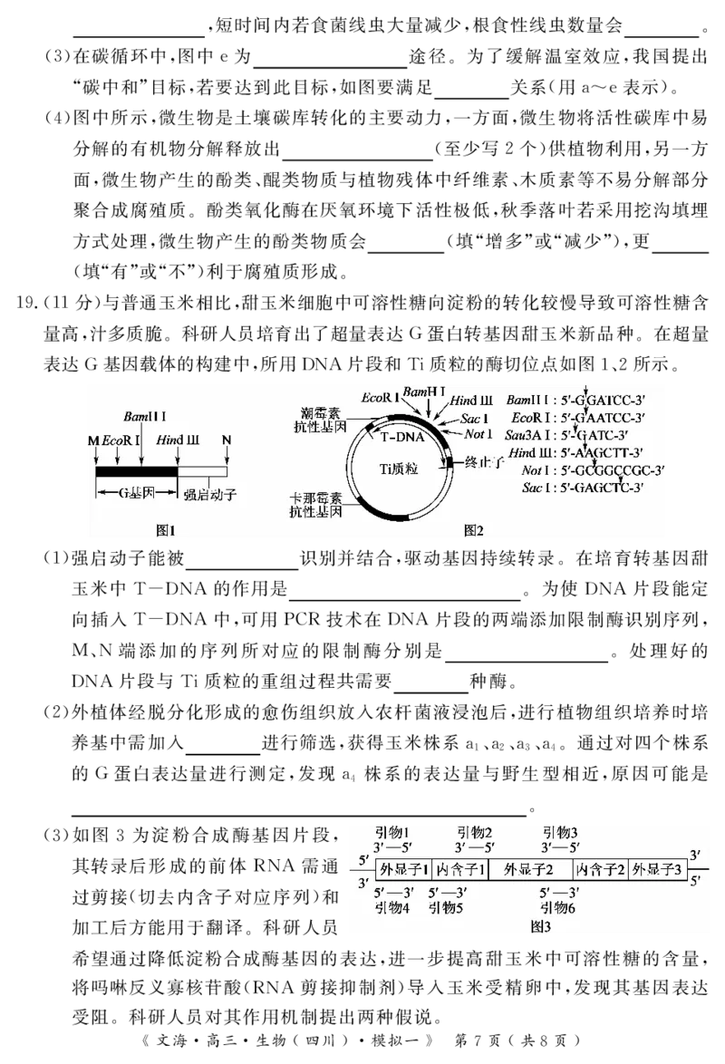 四川省黄冈八模2026届高三模拟测试卷（一）生物+答案(1)_2026年1月_260127四川省黄冈八模2026届高三模拟测试卷（一）（全科)
