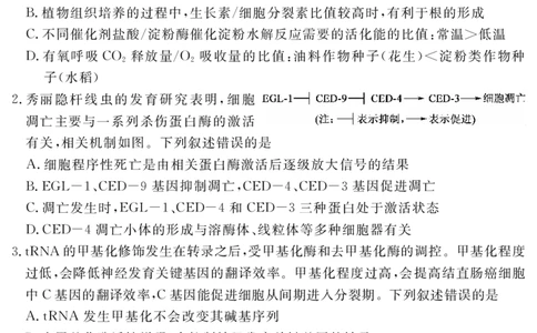 四川省黄冈八模2026届高三模拟测试卷（一）生物+答案(1)_2026年1月_260127四川省黄冈八模2026届高三模拟测试卷（一）（全科)