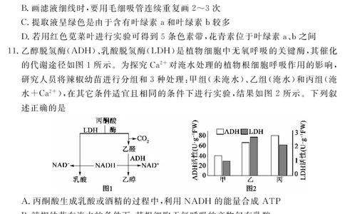 四川省黄冈八模2026届高三模拟测试卷（一）生物+答案(1)_2026年1月_260127四川省黄冈八模2026届高三模拟测试卷（一）（全科)