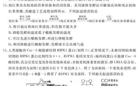 四川省黄冈八模2026届高三模拟测试卷（一）生物+答案(1)_2026年1月_260127四川省黄冈八模2026届高三模拟测试卷（一）（全科)