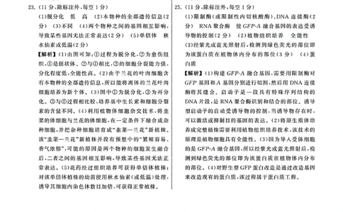 1_23-24生物上学期高三七调新教材版答案_2024年2月_01每日更新_04号_2024届衡中同卷高三上学期七调考试_衡中同卷2024届高三上学期七调考试生物