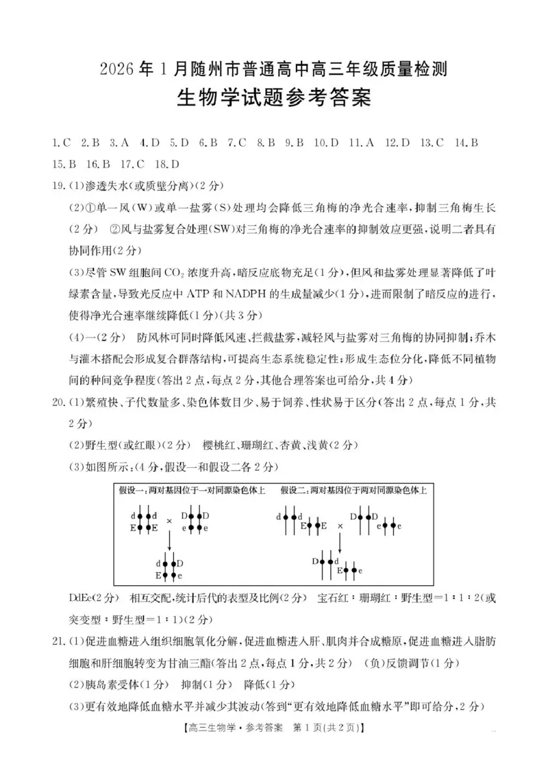 2025至2026学年2026年1月随州市普通高中期末高三年级质量检测生物学试题高三生物答案(1)_2026年1月_260112湖北省随州市2025-2026学年高三上学期1月期末质量检测