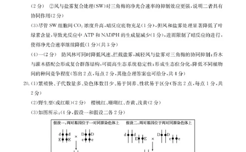 2025至2026学年2026年1月随州市普通高中期末高三年级质量检测生物学试题高三生物答案(1)_2026年1月_260112湖北省随州市2025-2026学年高三上学期1月期末质量检测