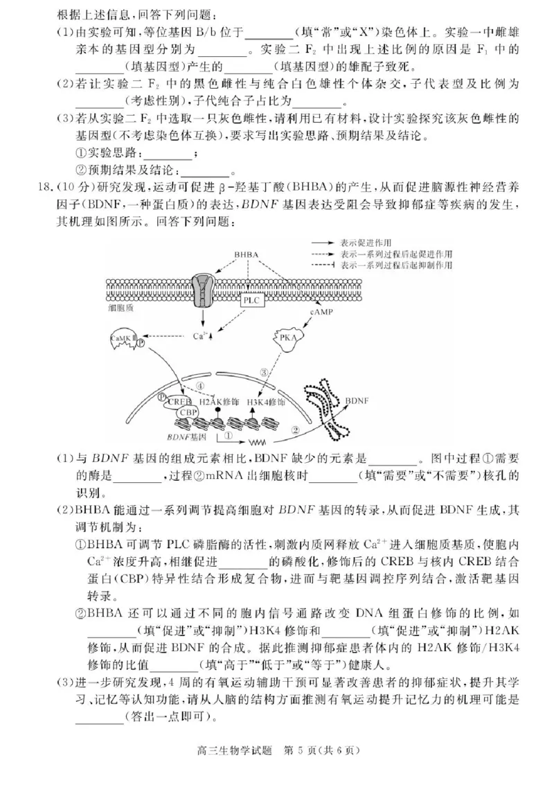 安徽省华师联盟2025-2026学年高三上学期1月质量检测生物试卷+答案(1)_2026年1月_260117安徽省华师联盟2025-2026学年高三上学期1月质量检测（全科）
