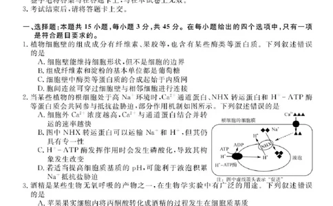 安徽省华师联盟2025-2026学年高三上学期1月质量检测生物试卷+答案(1)_2026年1月_260117安徽省华师联盟2025-2026学年高三上学期1月质量检测（全科）