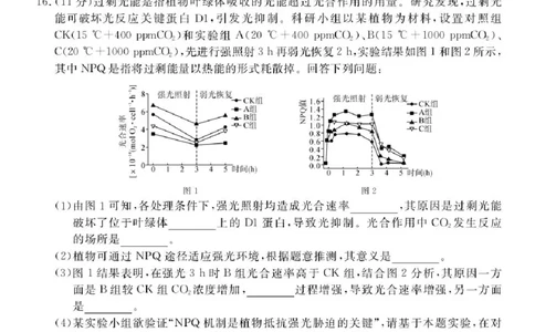 安徽省华师联盟2025-2026学年高三上学期1月质量检测生物试卷+答案(1)_2026年1月_260117安徽省华师联盟2025-2026学年高三上学期1月质量检测（全科）