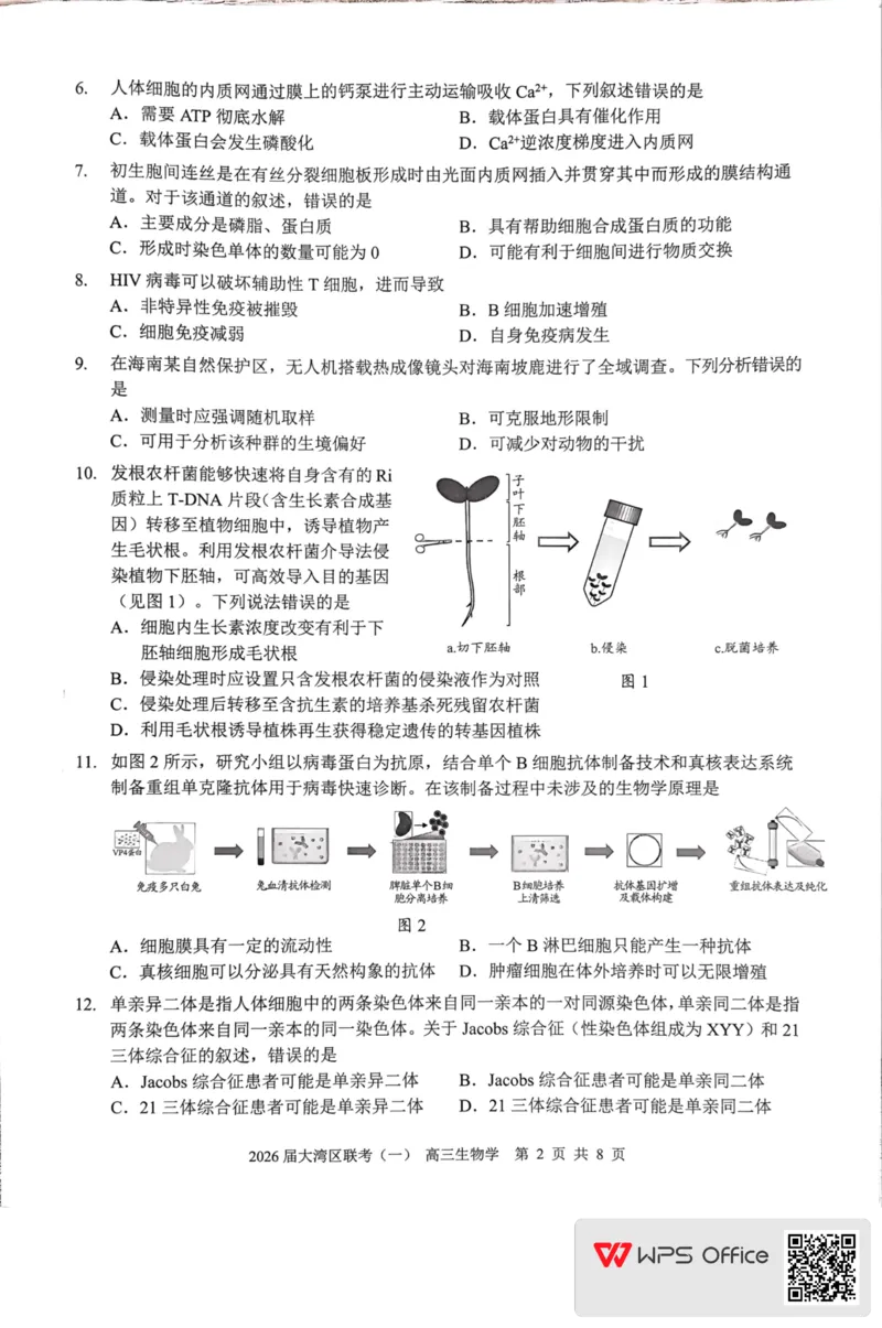 2026届大湾区普通高中毕业年级联合模拟考试(一)+生物学(1)_2026年1月_260128广东省大湾区2026届普通高中毕业年级高三年级联合模拟考试（一）（全科）