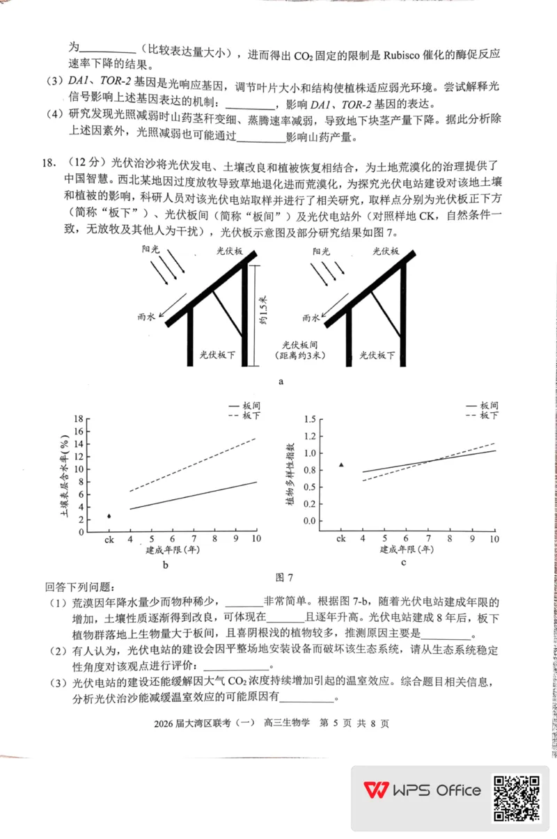 2026届大湾区普通高中毕业年级联合模拟考试(一)+生物学(1)_2026年1月_260128广东省大湾区2026届普通高中毕业年级高三年级联合模拟考试（一）（全科）
